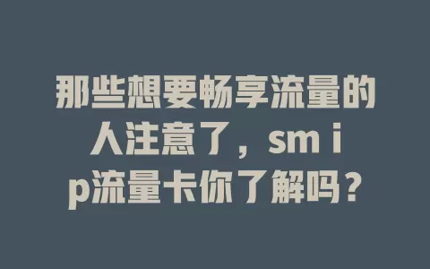 那些想要畅享流量的人注意了，sm ip流量卡你了解吗？