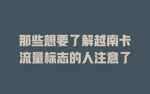那些想要了解越南卡流量标志的人注意了