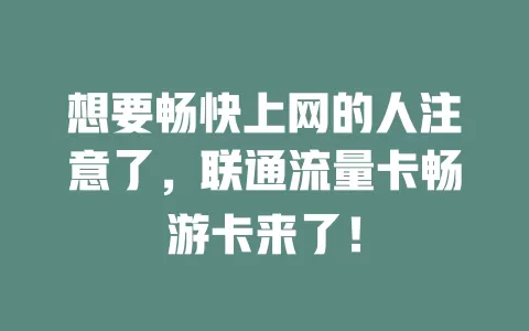 想要畅快上网的人注意了，联通流量卡畅游卡来了！