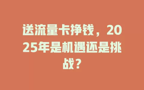 送流量卡挣钱，2025年是机遇还是挑战？