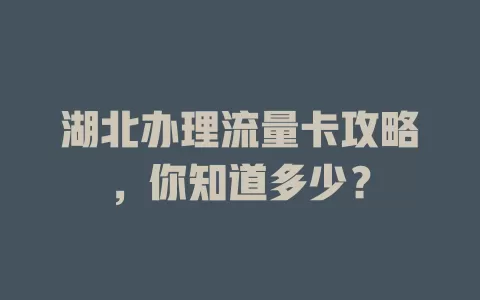 湖北办理流量卡攻略，你知道多少？