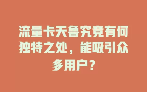 流量卡天鲁究竟有何独特之处，能吸引众多用户？