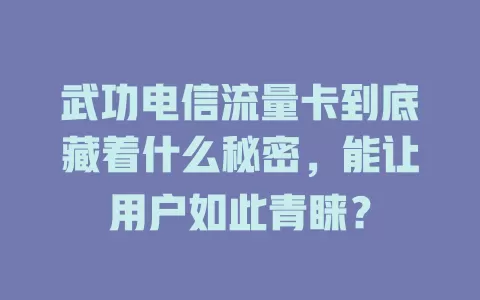 武功电信流量卡到底藏着什么秘密，能让用户如此青睐？