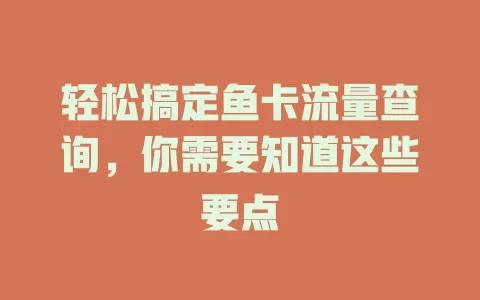 轻松搞定鱼卡流量查询，你需要知道这些要点