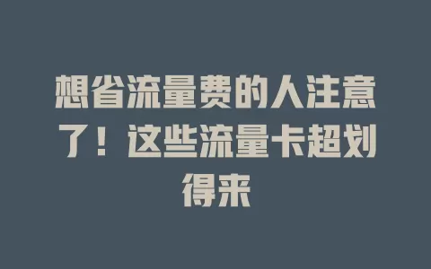 想省流量费的人注意了！这些流量卡超划得来