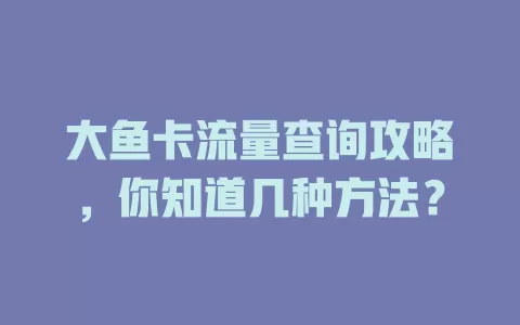 大鱼卡流量查询攻略，你知道几种方法？