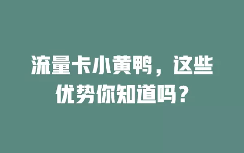 流量卡小黄鸭，这些优势你知道吗？