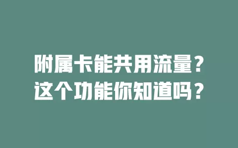 附属卡能共用流量？这个功能你知道吗？