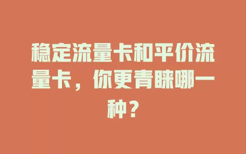 稳定流量卡和平价流量卡，你更青睐哪一种？