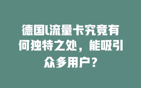 德国l流量卡究竟有何独特之处，能吸引众多用户？
