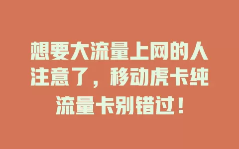 想要大流量上网的人注意了，移动虎卡纯流量卡别错过！