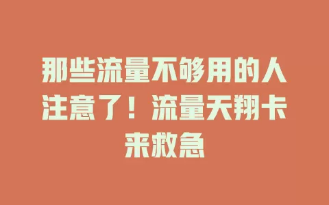 那些流量不够用的人注意了！流量天翔卡来救急