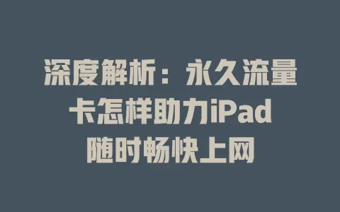 深度解析：永久流量卡怎样助力iPad随时畅快上网