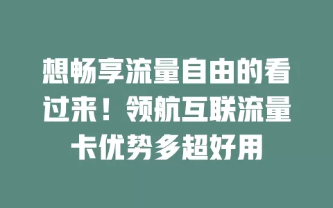 想畅享流量自由的看过来！领航互联流量卡优势多超好用