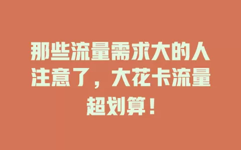 那些流量需求大的人注意了，大花卡流量超划算！