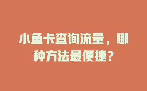 小鱼卡查询流量，哪种方法最便捷？