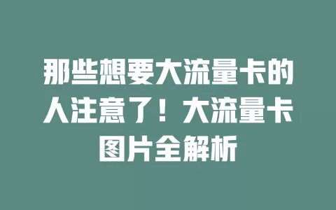 那些想要大流量卡的人注意了！大流量卡图片全解析