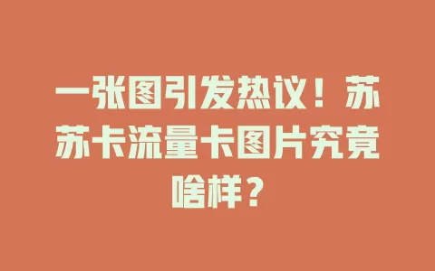 一张图引发热议！苏苏卡流量卡图片究竟啥样？