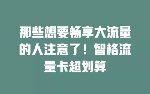 那些想要畅享大流量的人注意了！智格流量卡超划算