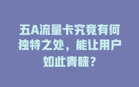 五A流量卡究竟有何独特之处，能让用户如此青睐？
