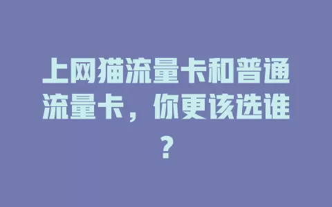 上网猫流量卡和普通流量卡，你更该选谁？