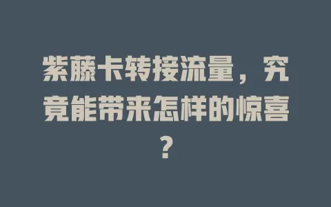 紫藤卡转接流量，究竟能带来怎样的惊喜？