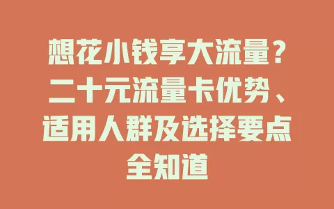想花小钱享大流量？二十元流量卡优势、适用人群及选择要点全知道