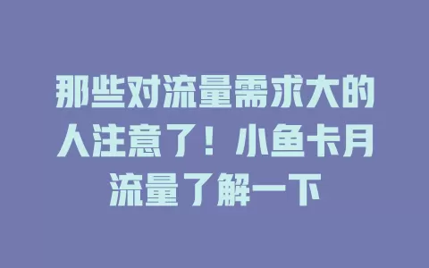 那些对流量需求大的人注意了！小鱼卡月流量了解一下