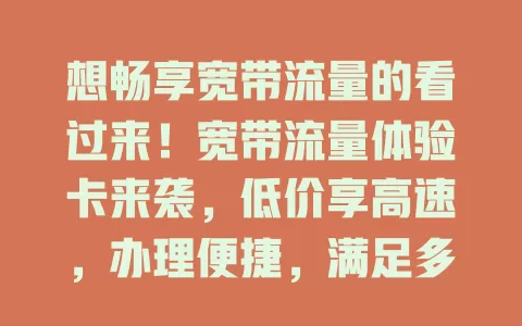 想畅享宽带流量的看过来！宽带流量体验卡来袭，低价享高速，办理便捷，满足多样需求，值得关注尝试