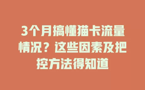 3个月搞懂猫卡流量情况？这些因素及把控方法得知道