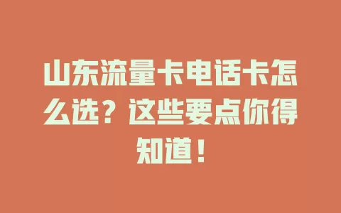 山东流量卡电话卡怎么选？这些要点你得知道！