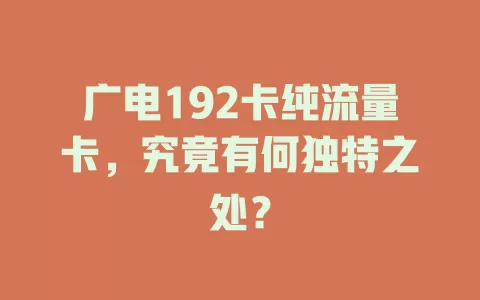 广电192卡纯流量卡，究竟有何独特之处？