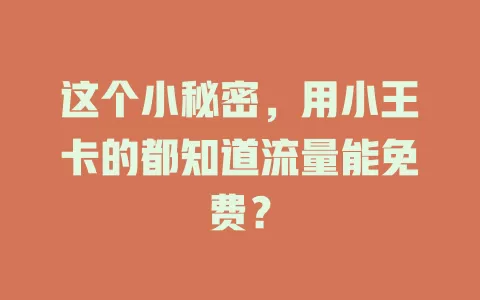 这个小秘密，用小王卡的都知道流量能免费？