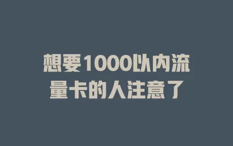 想要1000以内流量卡的人注意了