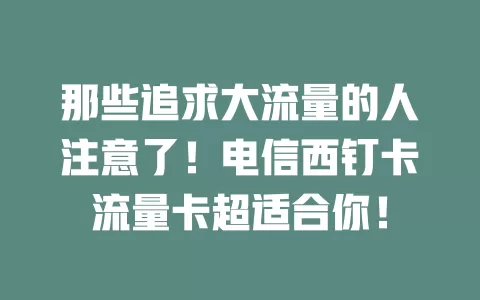 那些追求大流量的人注意了！电信西钉卡流量卡超适合你！