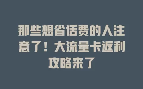 那些想省话费的人注意了！大流量卡返利攻略来了