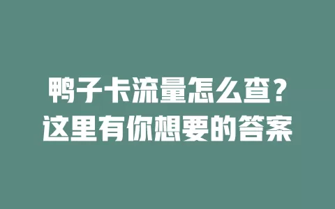 鸭子卡流量怎么查？这里有你想要的答案