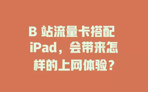 B 站流量卡搭配 iPad，会带来怎样的上网体验？