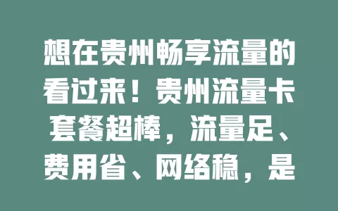 想在贵州畅享流量的看过来！贵州流量卡套餐超棒，流量足、费用省、网络稳，是常居贵州用户的绝佳之选，快来关注开启优质网络之旅