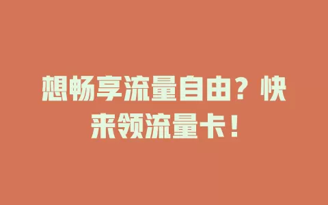 想畅享流量自由？快来领流量卡！