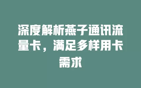 深度解析燕子通讯流量卡，满足多样用卡需求