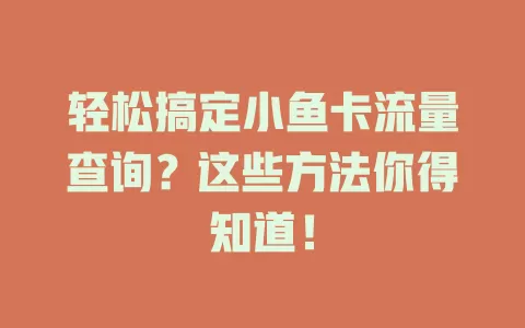 轻松搞定小鱼卡流量查询？这些方法你得知道！