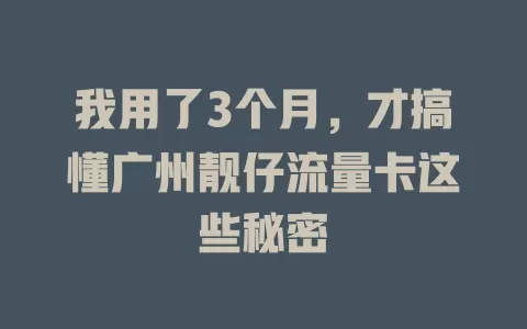 我用了3个月，才搞懂广州靓仔流量卡这些秘密
