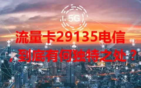 流量卡29135电信，到底有何独特之处？