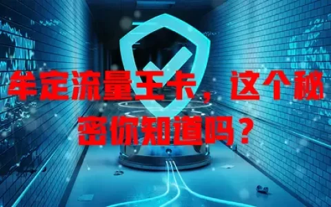 牟定流量王卡，这个秘密你知道吗？