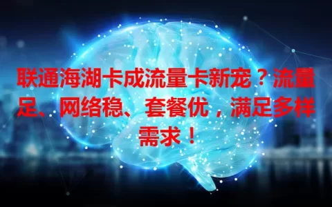 联通海湖卡成流量卡新宠？流量足、网络稳、套餐优，满足多样需求！