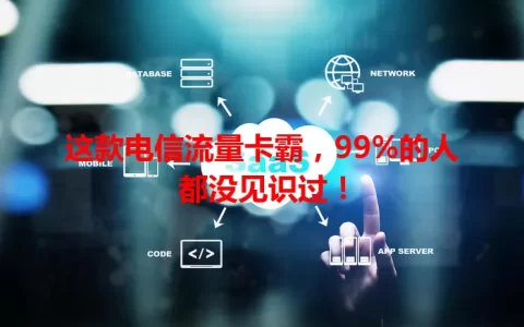 这款电信流量卡霸，99%的人都没见识过！
