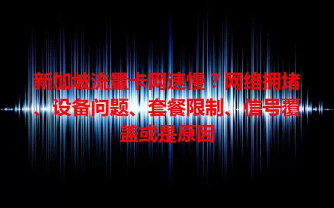 新加坡流量卡网速慢？网络拥堵、设备问题、套餐限制、信号覆盖或是原因