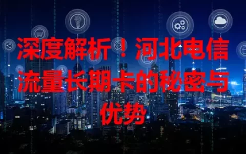 深度解析！河北电信流量长期卡的秘密与优势