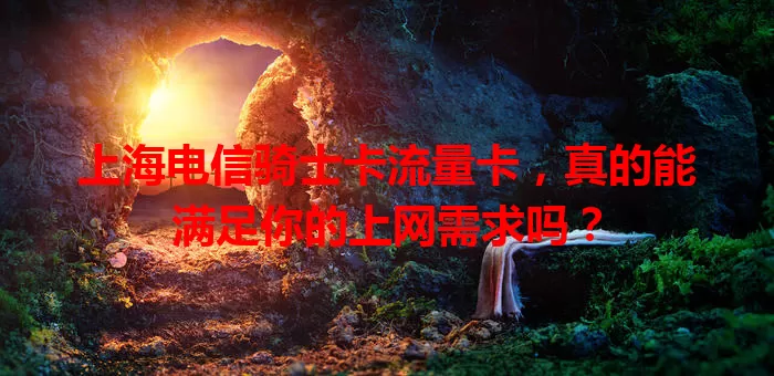 上海电信骑士卡流量卡,真的能满足你的上网需求吗?